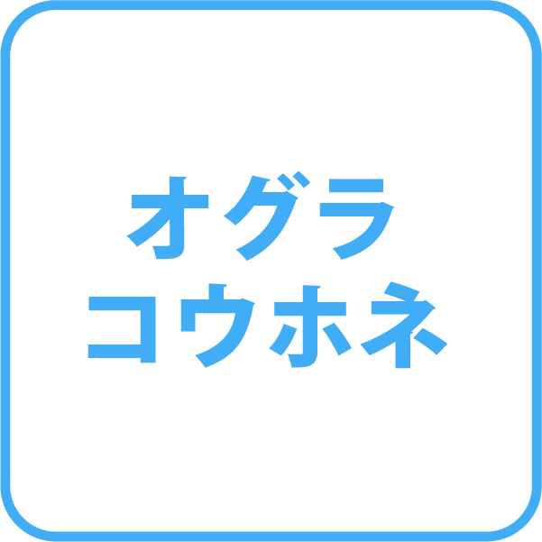 選択肢