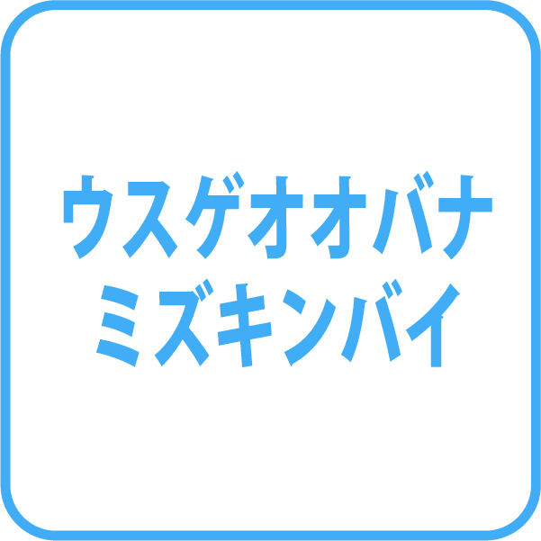 選択肢