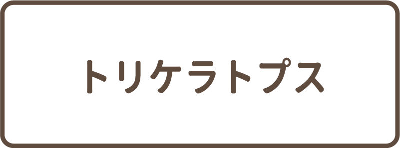 選択肢