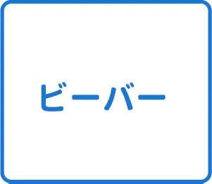 選択肢