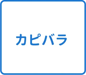 選択肢