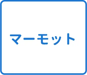 選択肢
