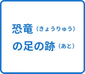 選択肢