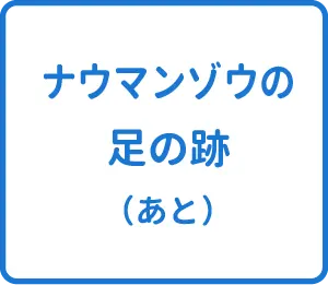 選択肢