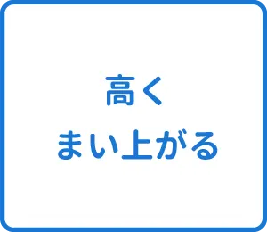 選択肢