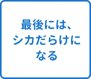 選択肢