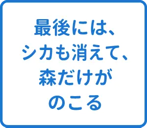 選択肢