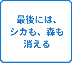 選択肢
