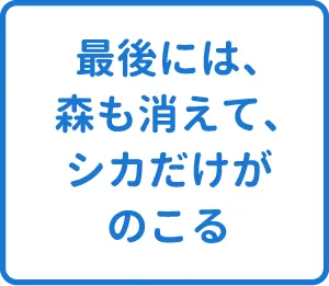 選択肢