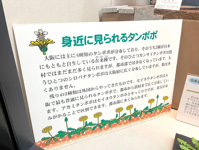 クエスト画像1