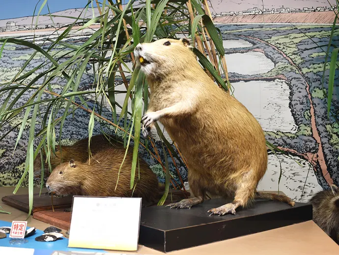 クエスト画像1