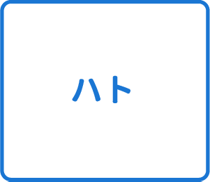 選択肢