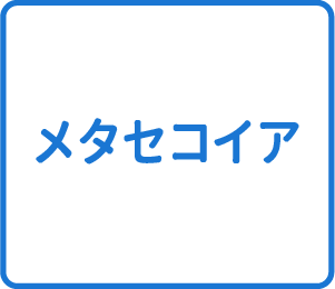 選択肢