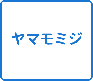 選択肢