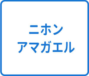 選択肢