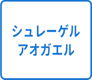 選択肢