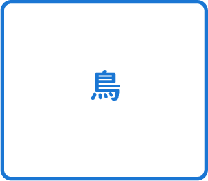 選択肢