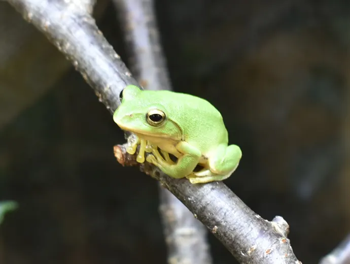 クエスト画像1