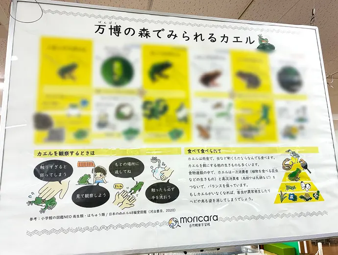 クエストヒント