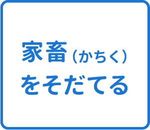 選択肢
