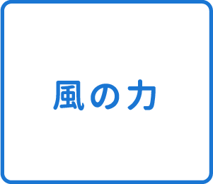 選択肢