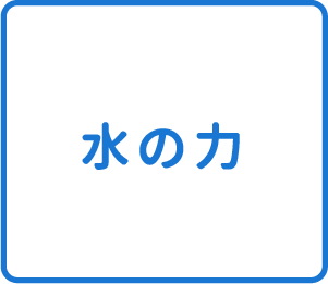選択肢