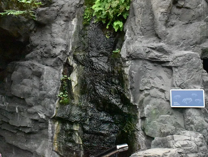 クエスト画像1