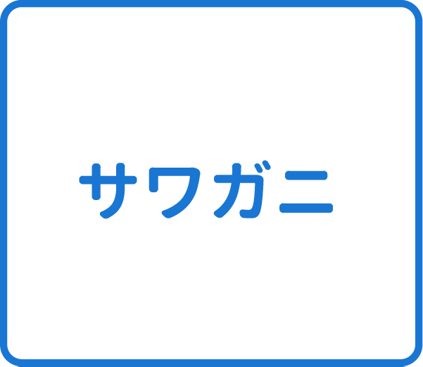 選択肢