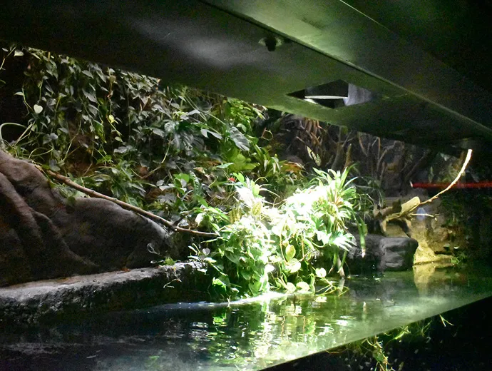 クエスト画像2