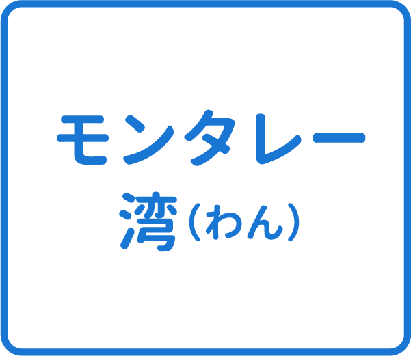 選択肢