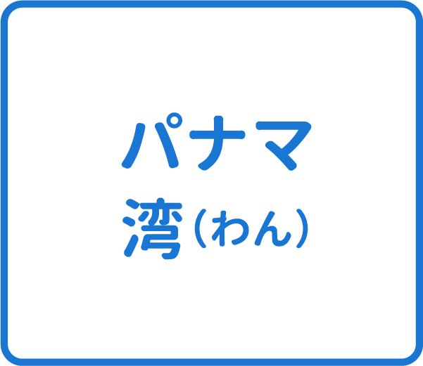 選択肢