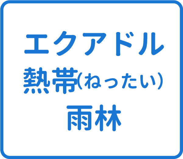 選択肢