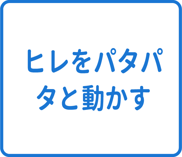 選択肢