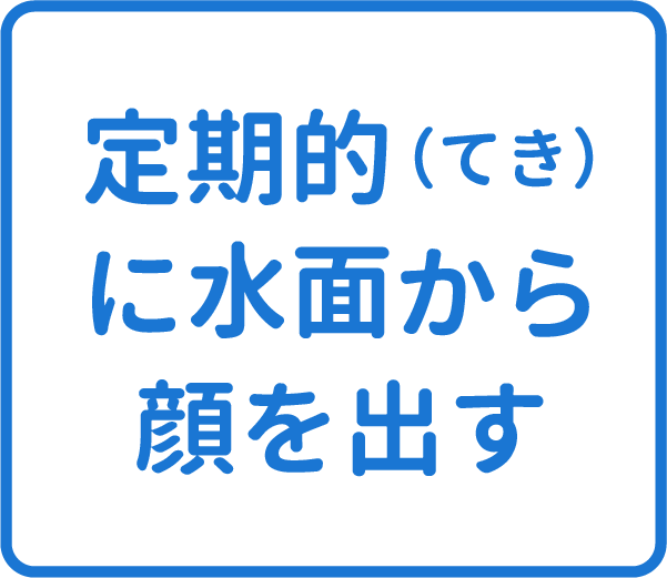 選択肢