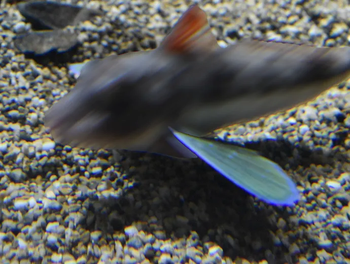 クエスト画像5
