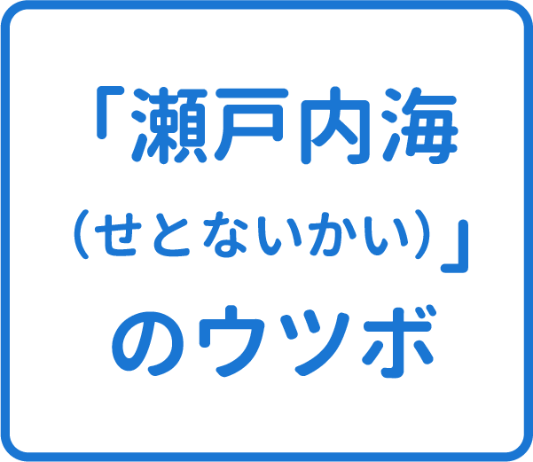 選択肢