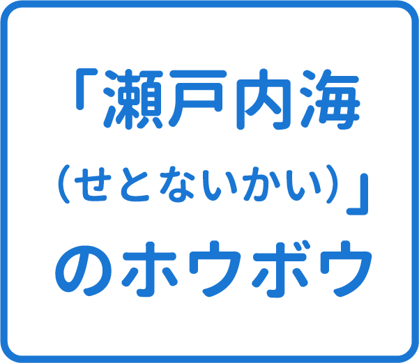 選択肢