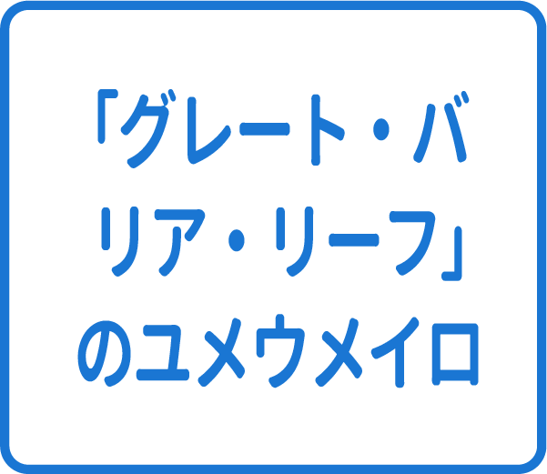 選択肢