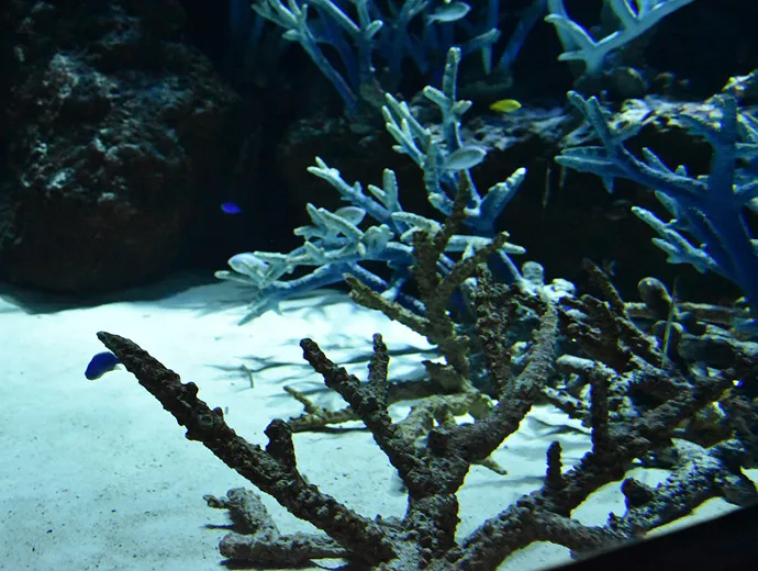 クエスト画像6