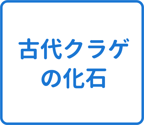 選択肢