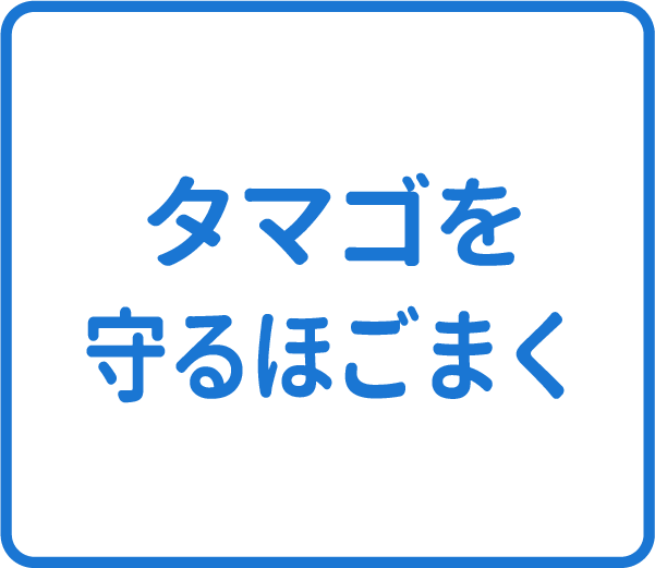 選択肢