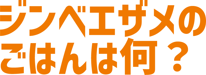ジンベエザメのごはんは何？