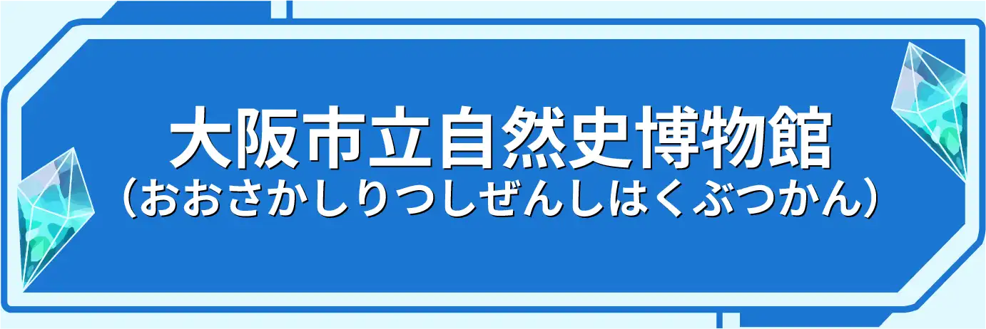 大阪市立自然史博物館